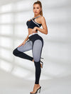 ❤Contrast Color Mesh Cutout Pop Style Tracksuit