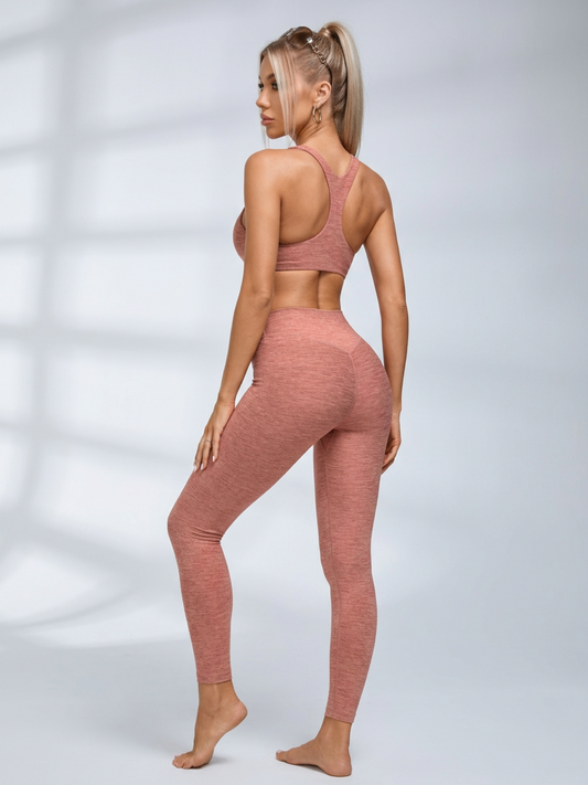 Seamless Tight Workout 2 Piece Activewear Set