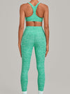 Seamless Tight Workout 2 Piece Activewear Set