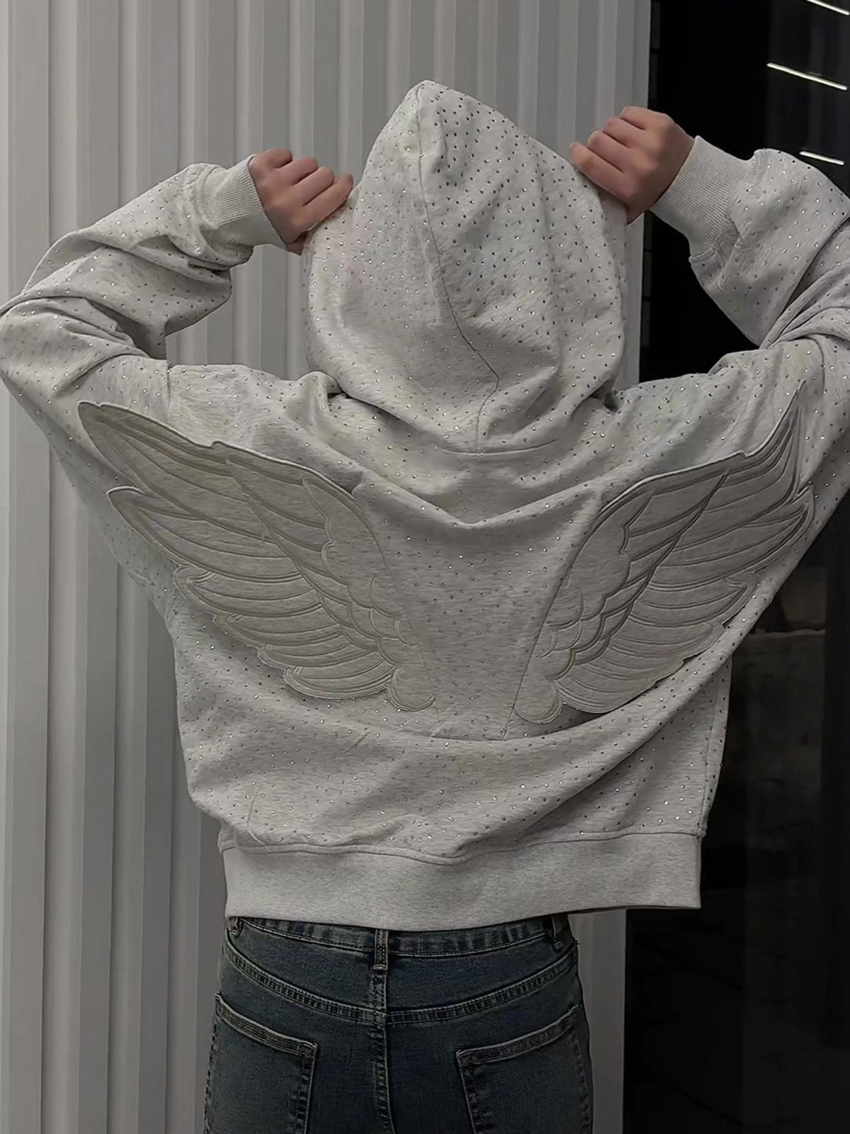 3D Back Wing Oversized Hoodie
