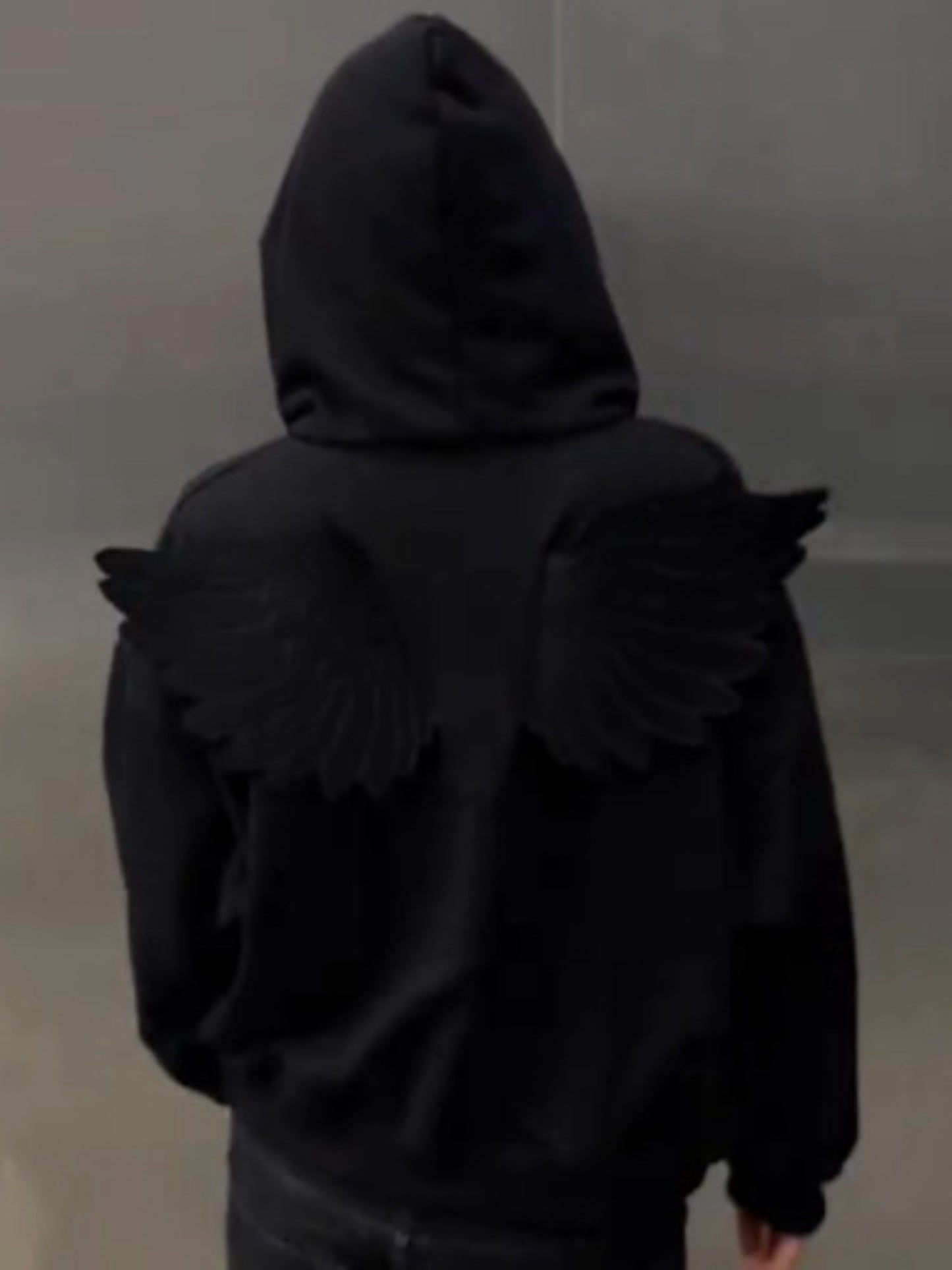 3D Back Wing Oversized Hoodie