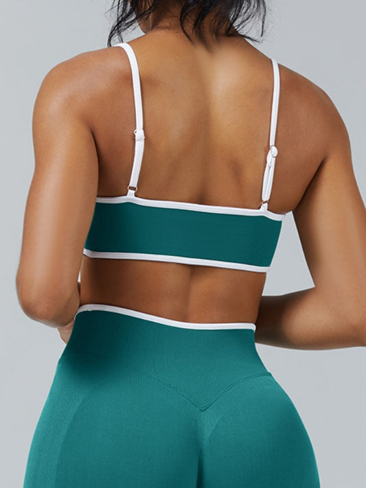 Stripes Seamless Sports Bras