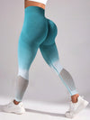 ZASUWA Female Ombre Fishnet Hot Booty Leggings