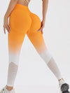 ZASUWA Female Ombre Fishnet Hot Booty Leggings