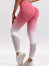 ZASUWA Female Ombre Fishnet Hot Booty Leggings