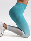 ZASUWA Female Ombre Fishnet Hot Booty Leggings